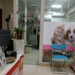 洪星1998寵物店詳細信息 電話、地址、價格、營業時間及圖片
